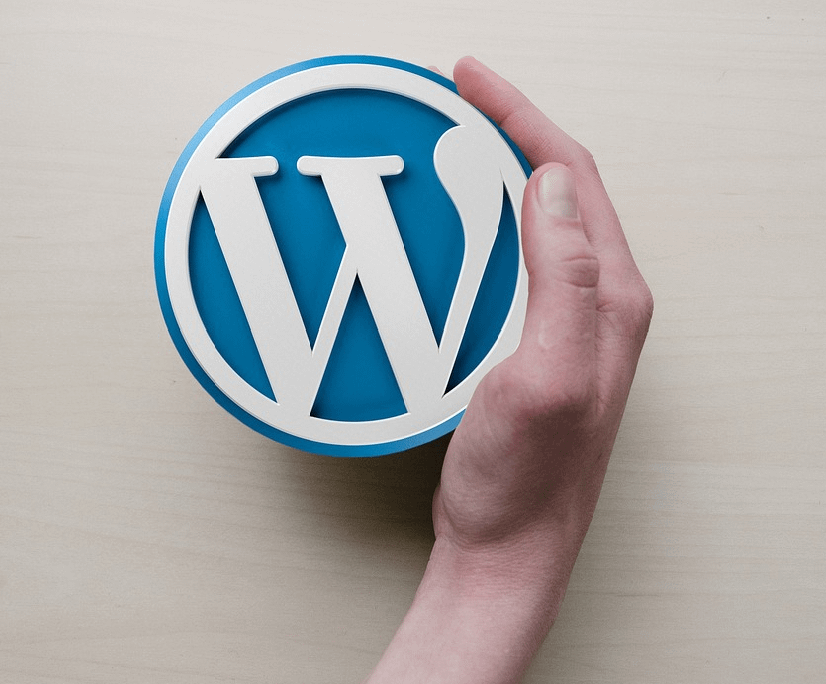 Excellent WordPress Services